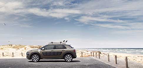 Citroen C4 Cactus Rip Curl