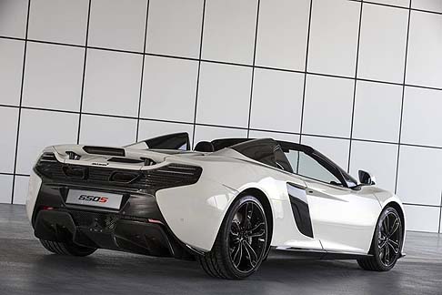 McLaren 650 S Al Sahara 79