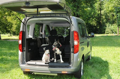 Opel Combo Pet Lovers Edition